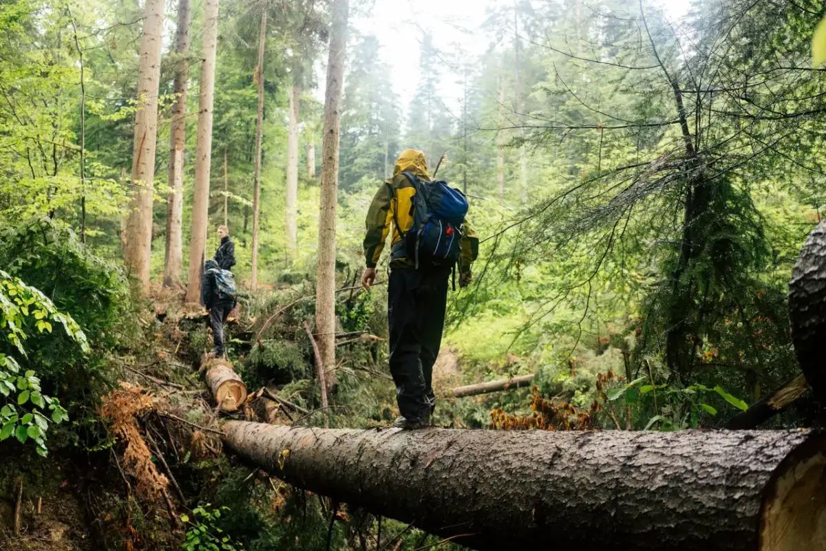 "Szlak jak belka": Co to jest? TOP 5 i jak go bezpiecznie przejść?