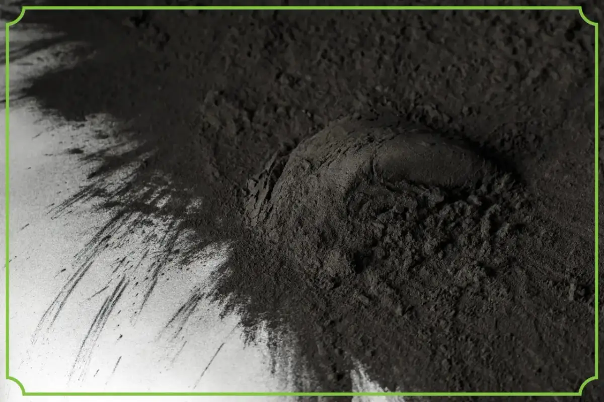 Węgiel aktywny a leki: Złota zasada 2h dla Twojej terapii