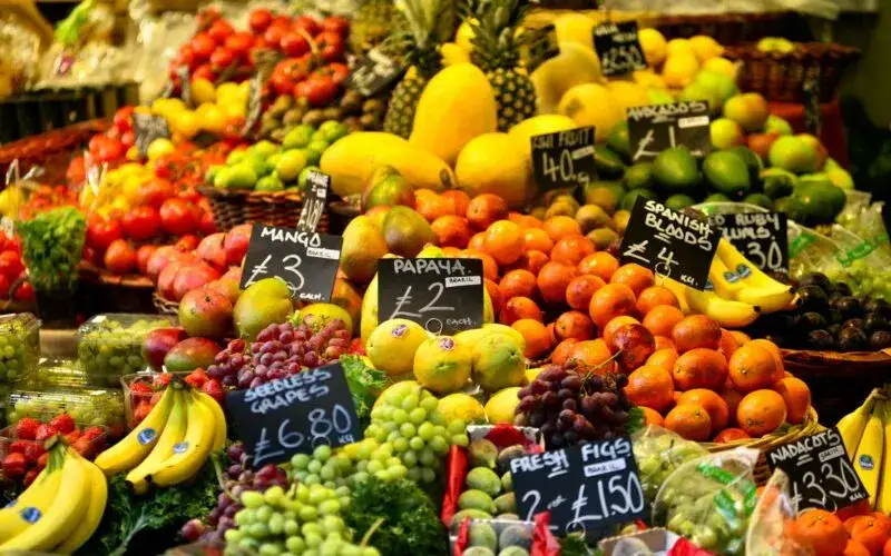 Czy pies może jeść naleśniki? Ważne informacje i bezpieczne przepisy