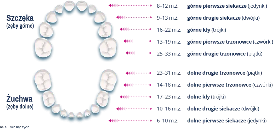 Ząbkowanie trójki objawy: Jak rozpoznać ból i dyskomfort u dziecka