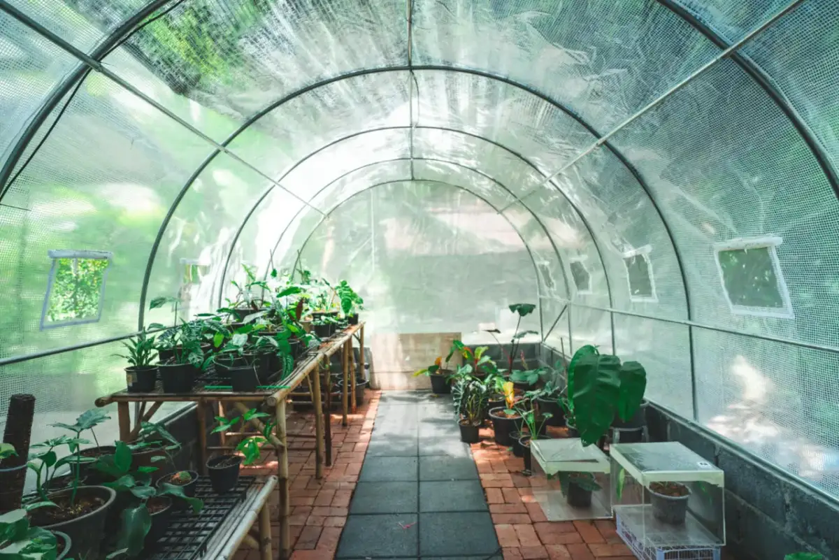 Jak wybrać folię tunelową zbrojoną, aby chronić swoje rośliny?