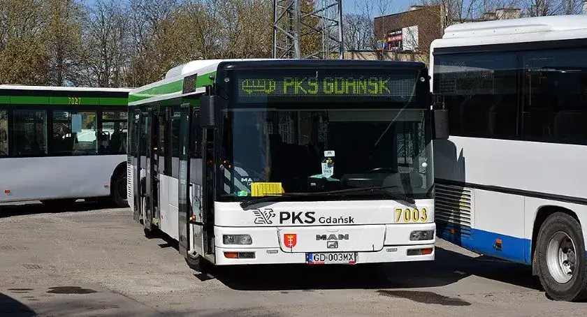 Ile jedzie autobus z Gdańska do Krynicy Morskiej? Czas i porady