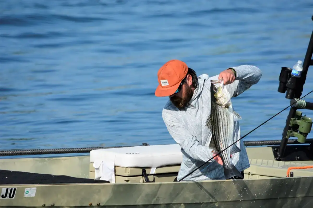 Skuteczna zanęta na sandacza: przepisy i techniki, które działają