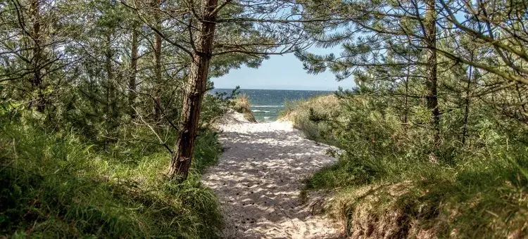 Jezioro Dobrowieckie Wielkie - piękne miejsce na relaks i wypoczynek