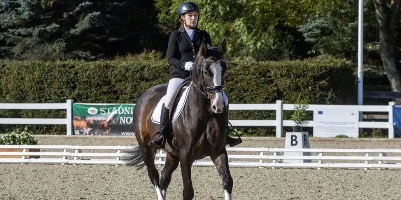 Historia jeździectwa konnego: od pradawnych czasów do współczesności