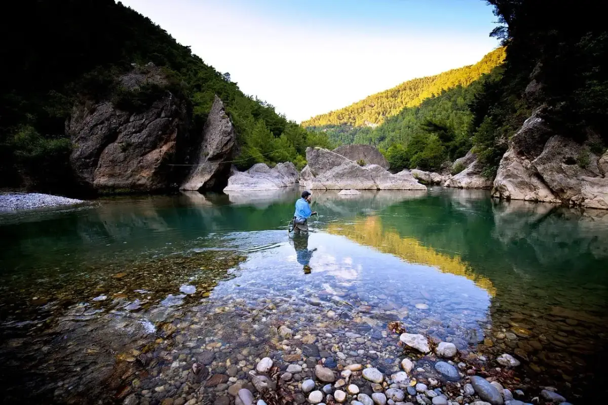 Wielkopolska: Gdzie na ryby z noclegiem? TOP miejsca i porady