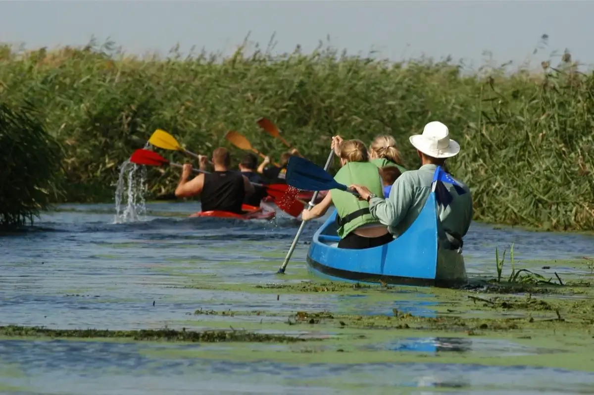 Zachodniopomorskie: Najlepsze szlaki kajakowe i jak zaplanować spływ