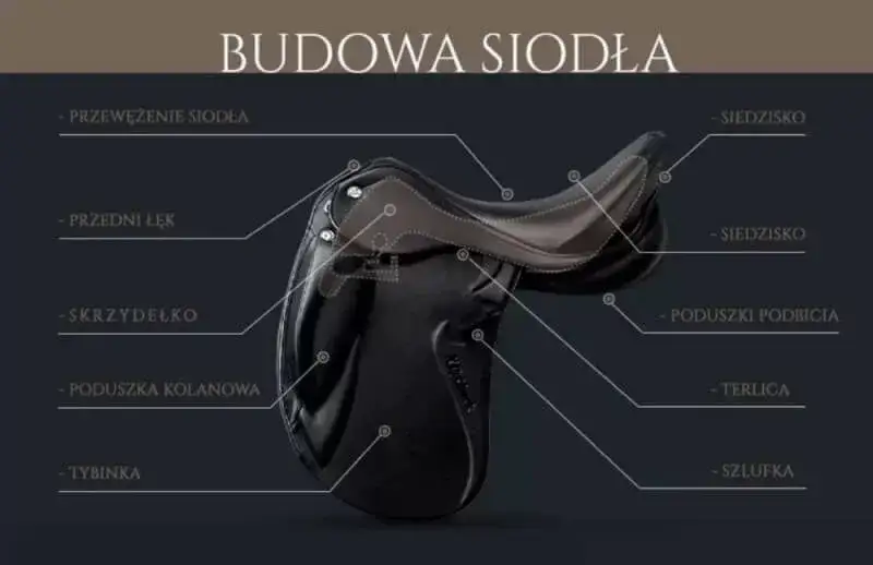 Z czego składa się siodło? Kluczowe elementy, które musisz znać