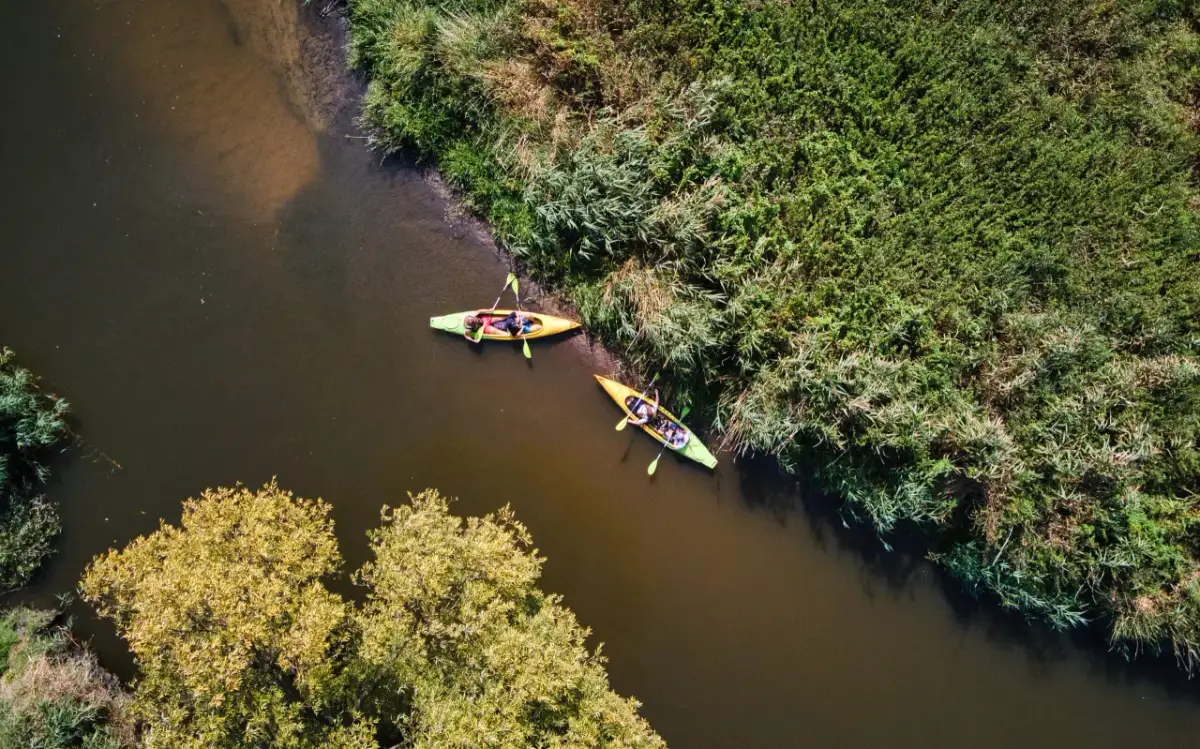 Spływ Wieprzem na Roztoczu: Trasy, ceny, rezerwacja kajaków