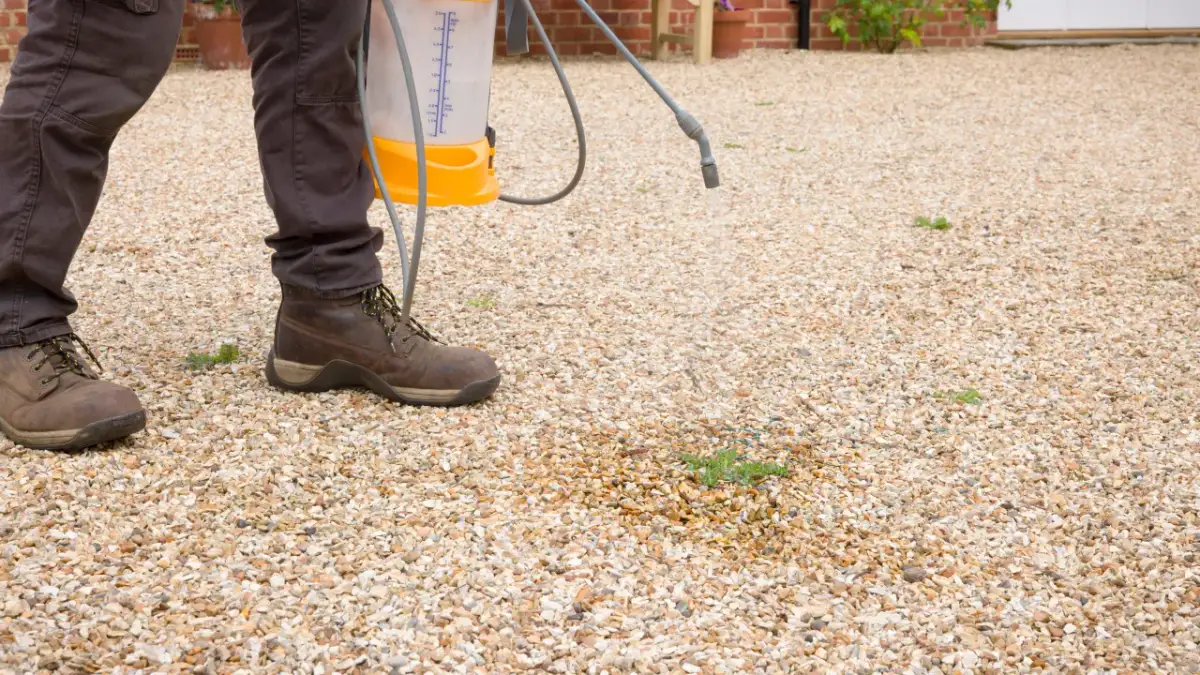 Jak opryskiwać Randapem skutecznie i bezpiecznie w ogrodzie?