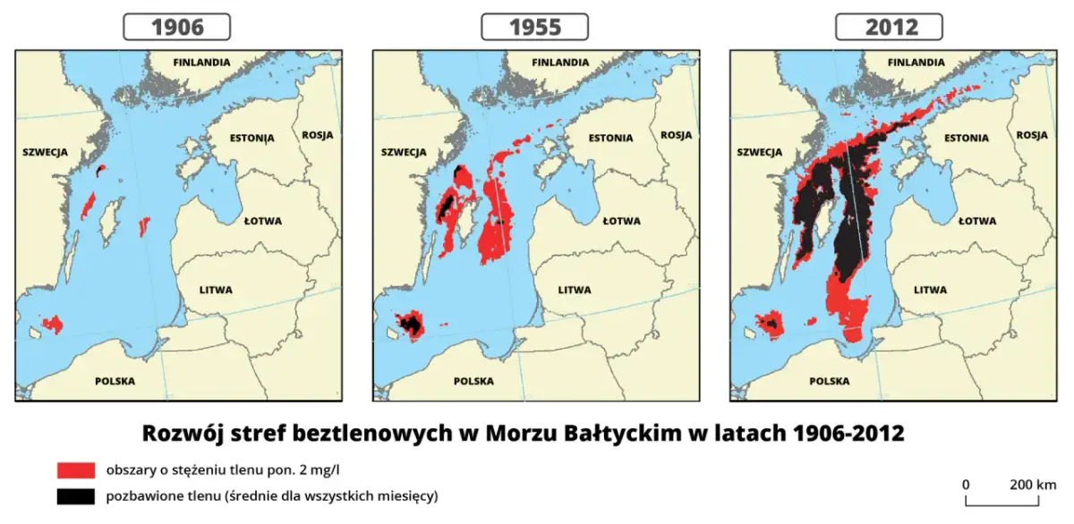 Gdzie jest Bałtyk? Odkryj jego lokalizację i otaczające kraje