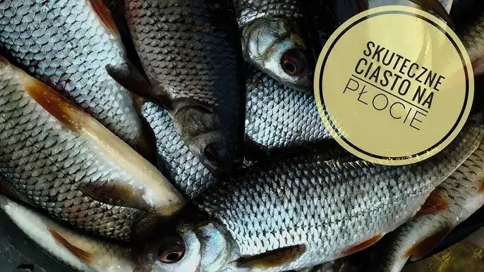 Ciasto wędkarskie: jakie ryby biorą? Przepisy i triki Cypriana