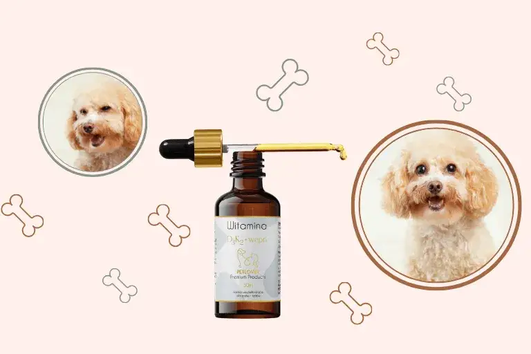 Witamina D3 dla psa: dawkowanie, ryzyko i bezpieczna suplementacja