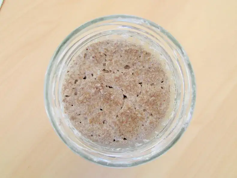 Zepsuty zakwas? Pleśń, zapach, wygląd jak rozpoznać i uratować