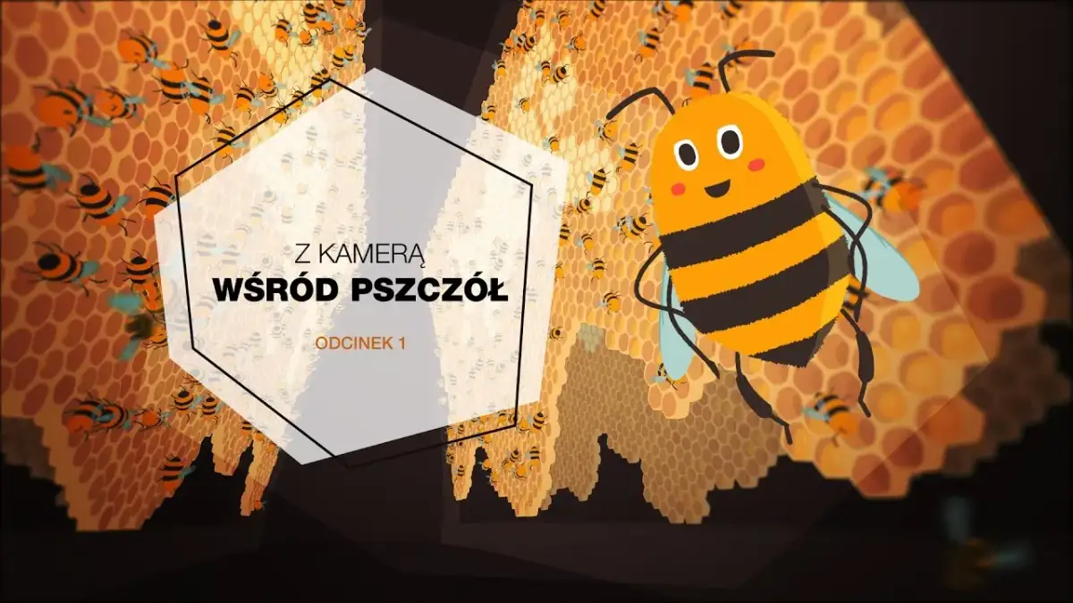 Jak powstaje miód? Edukacyjny film dla dzieci o pszczołach