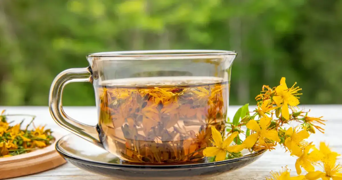 Herbatka z dziurawca na uspokojenie. Szklanka naparu z żółtymi kwiatami i gałązkami dziurawca na talerzyku.