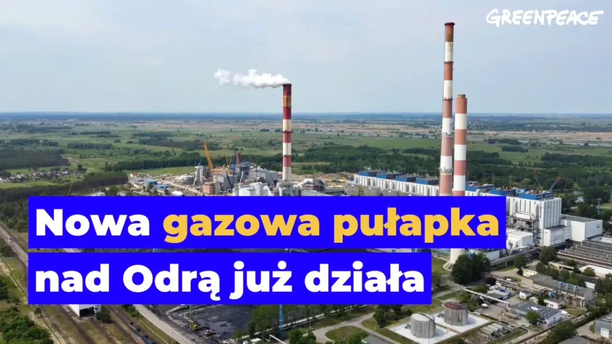 Elektrownia Dolna Odra: Jak gaz i OZE wzmocnią bezpieczeństwo Polski?