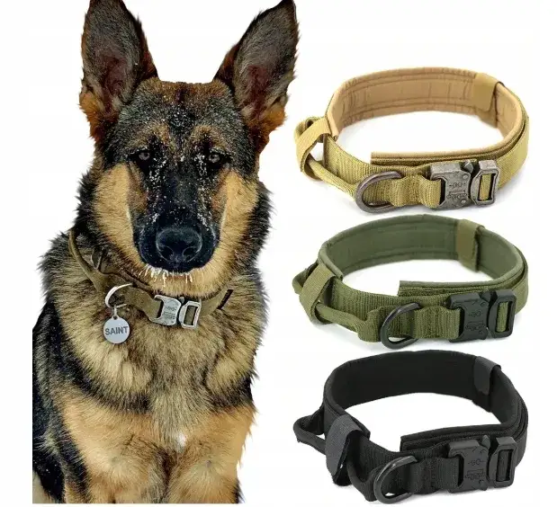 Jaki rozmiar obroży dla owczarka niemieckiego, aby uniknąć problemów?