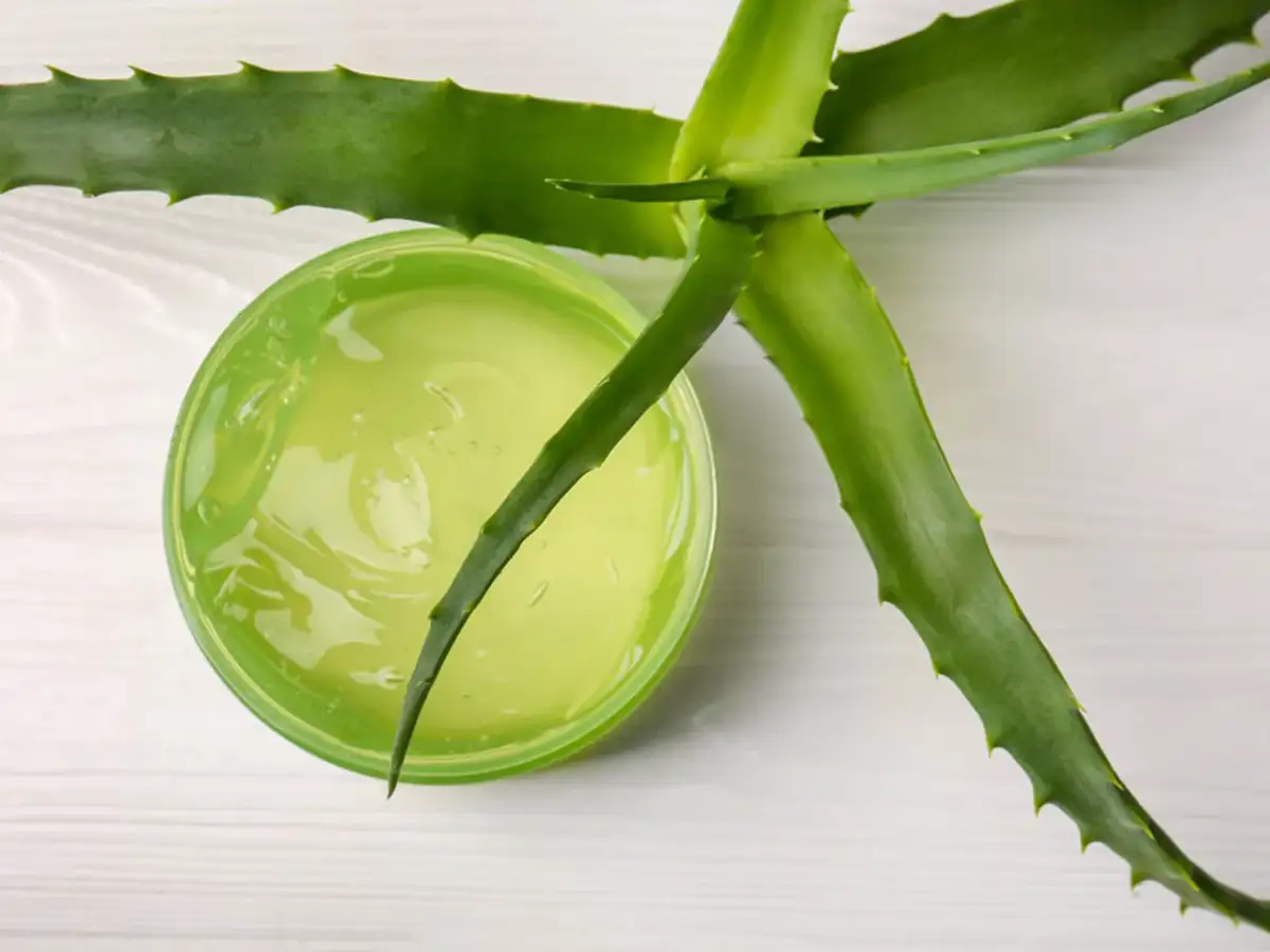 Aloes na dziąsła: Ukojenie i regeneracja. Jak stosować krok po kroku?