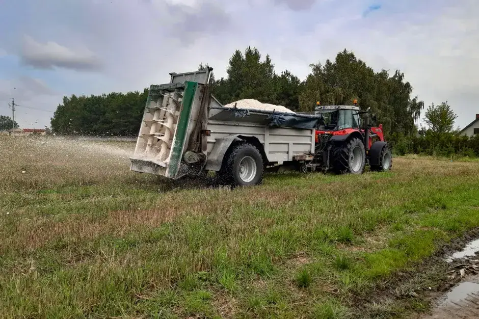 Jaki nawóz pod buraki cukrowe? Odkryj najlepsze rozwiązania dla plonów