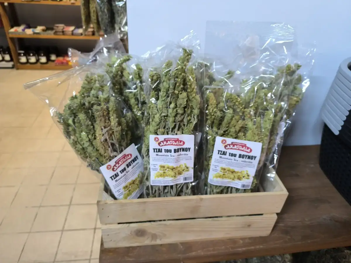 Gojnik herbata w paczkach, gotowa do zaparzenia. Warto sprawdzić gojnik herbata przeciwwskazania przed spożyciem.