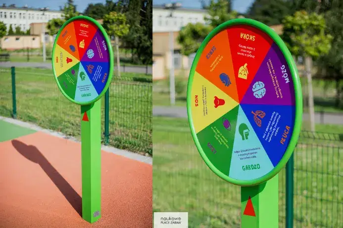 Eko-kolonie: 20+ pomysłów na zajęcia ekologiczne dla dzieci i młodzieży