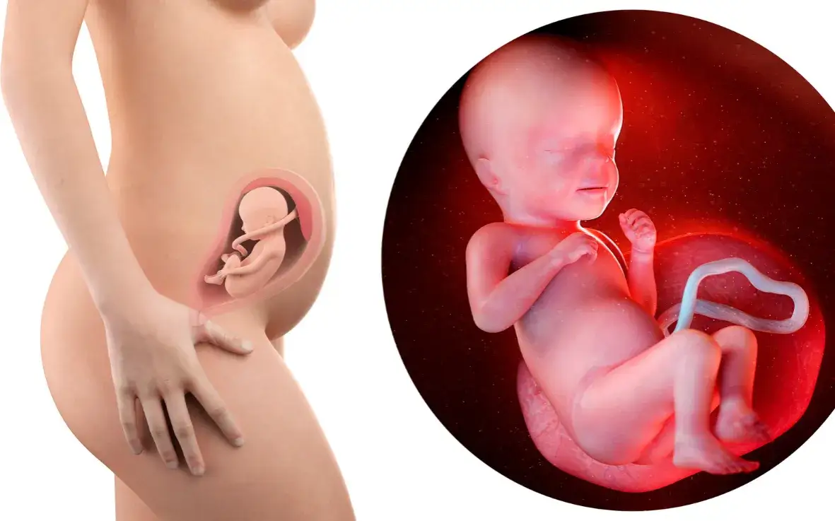 Czy dziecko w brzuchu ma czkawkę? Dowiedz się, co to oznacza