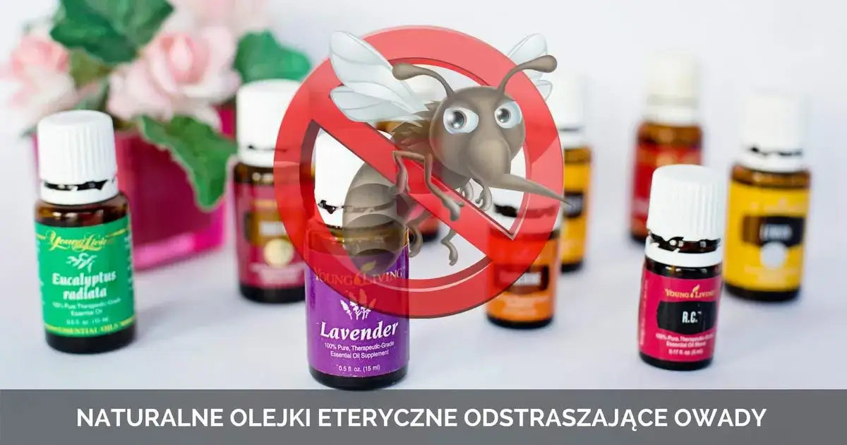 Najlepsze olejki na meszki, które skutecznie je odstraszą
