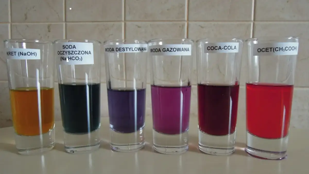 Jak zrobić wskaźnik pH z kapusty? Domowe laboratorium!