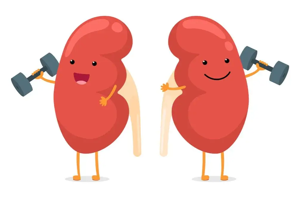 Podwyższona kreatynina: Co oznacza i jak skutecznie obniżyć?