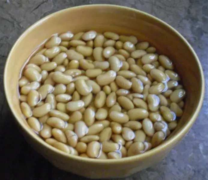 Czy moczyć fasolę przed sadzeniem? Odkryj korzyści i pułapki