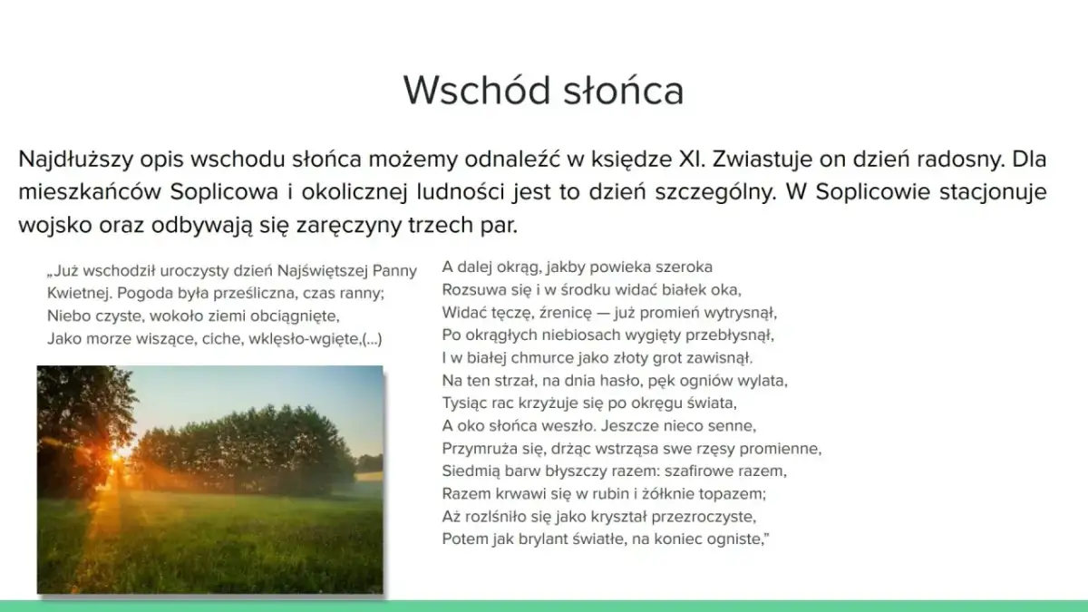 Promienie słońca przebijające przez drzewa i mgłę nad zieloną łąką.