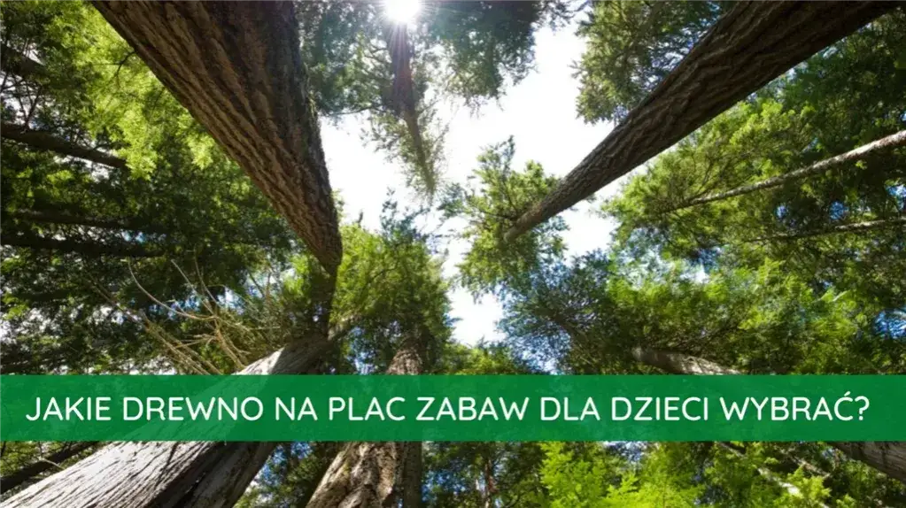 Jakie drewno na plac zabaw wybrać, aby zapewnić bezpieczeństwo?