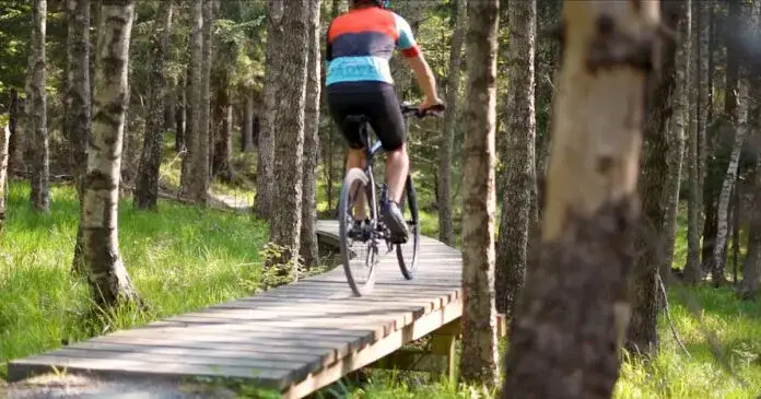 Kotlina Kłodzka: Rowerowy raj? Odkryj Singletrack Glacensis!