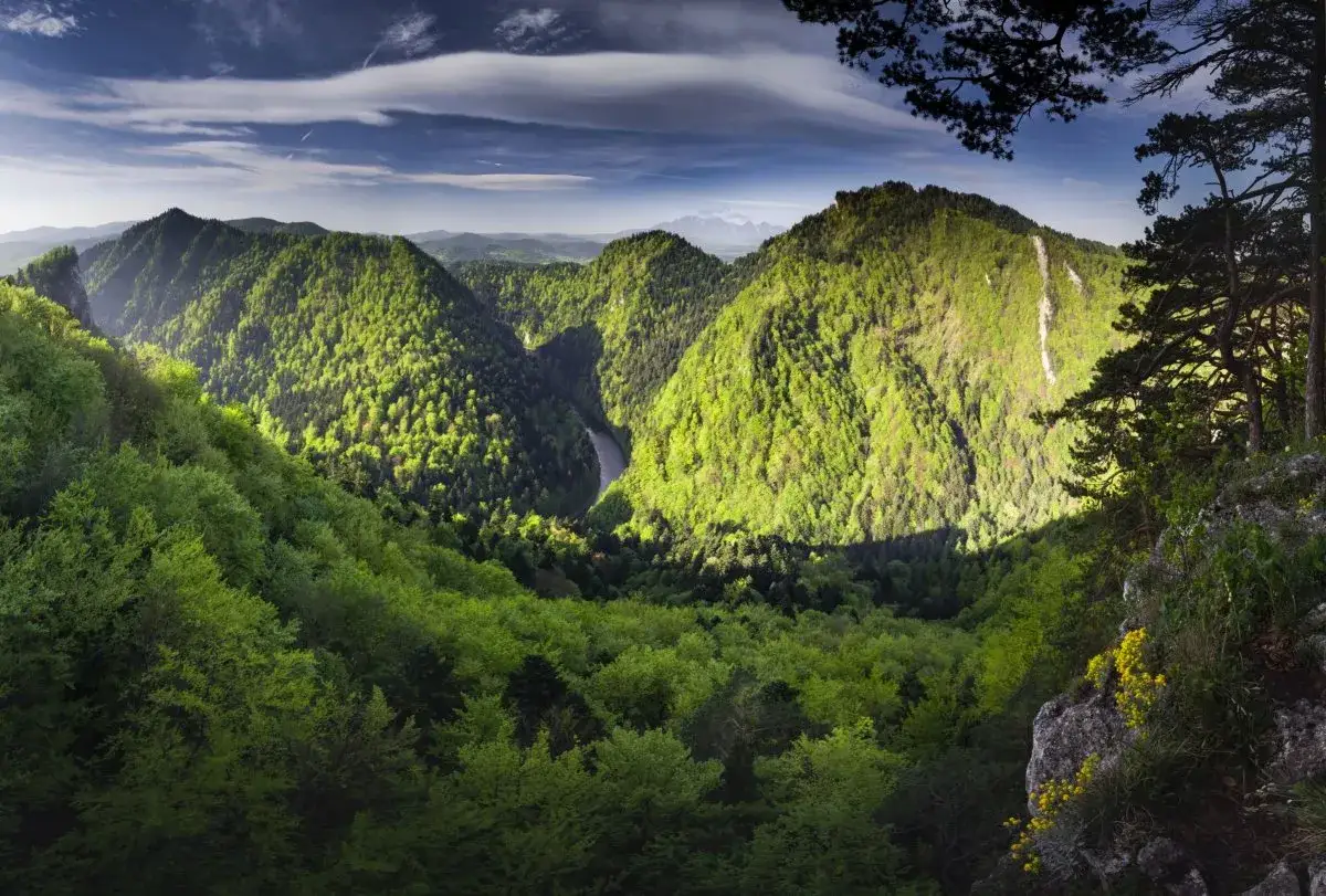 Sudety: Jakie to góry? Odkryj ich unikalne pochodzenie i podział