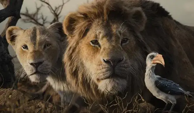 Kto śpiewa w polskim Królu Lwie? Poznaj wykonawców!