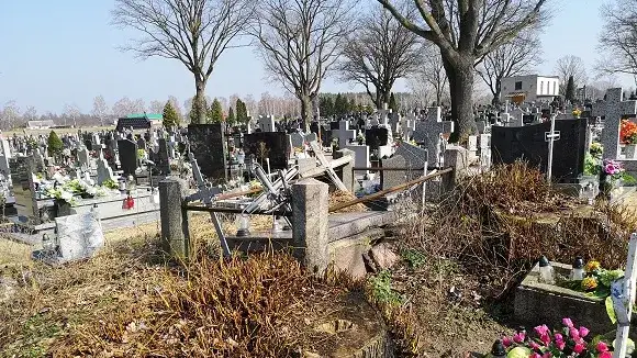 Dlaczego na cmentarzu nie śmierdzi? Oto tajemnice braku zapachów