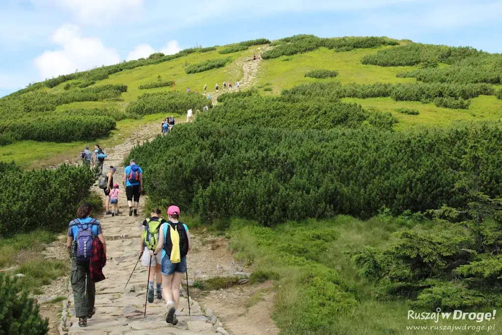 Babia Góra: Który szlak wybrać? Twój przewodnik po Diablaku
