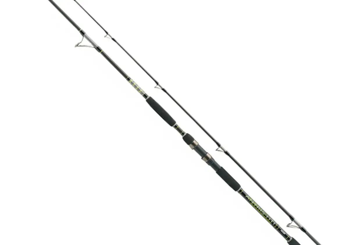 Jaka wędka na suma z brzegu? Długość, CW, akcja wybierz mądrze!