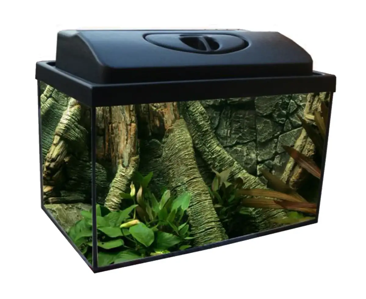 Gdzie kupić akwarium? Najlepsze miejsca i porady na zakupy