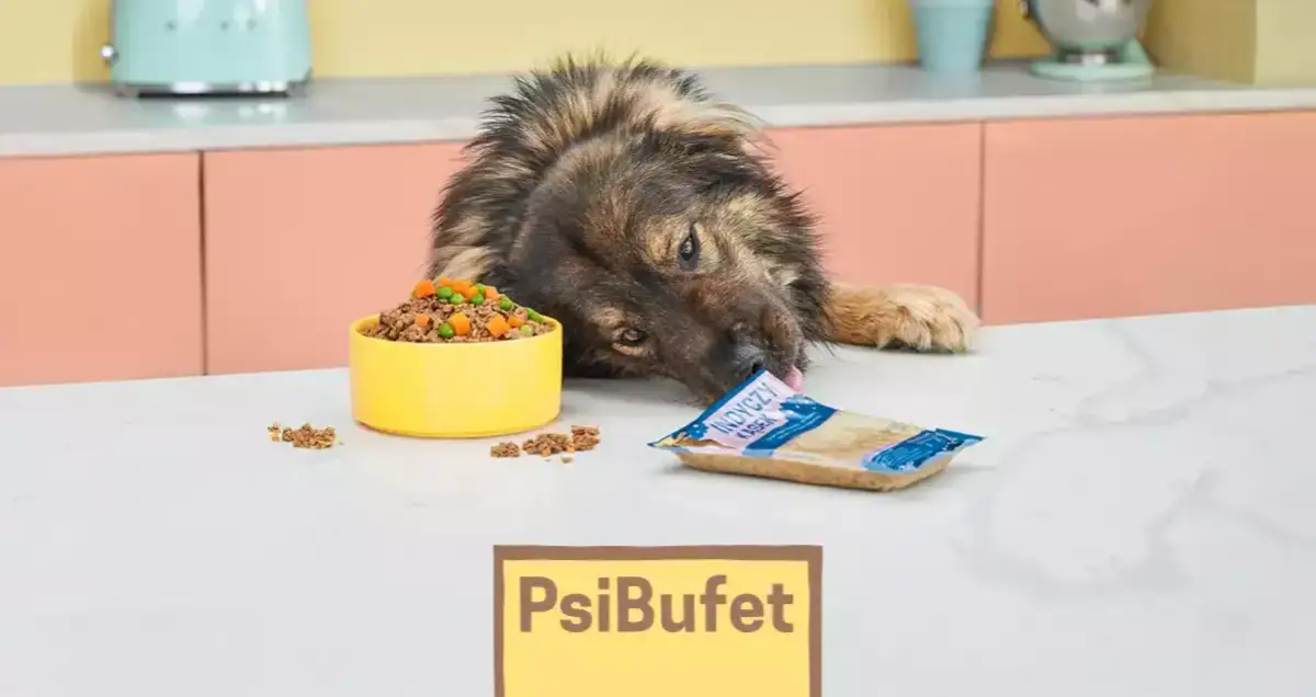 Czy pies może jeść ryż gotowany? Bezpieczne porady i wskazówki