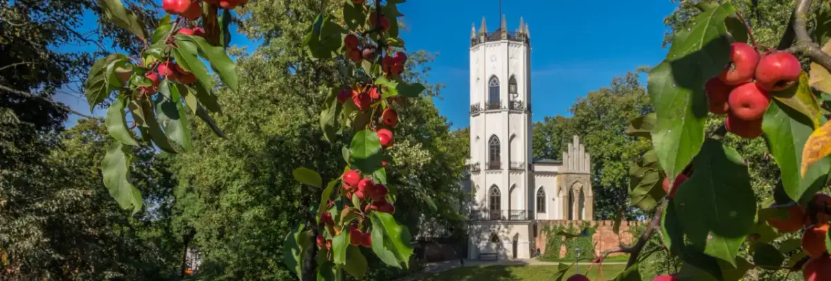 Opinogóra atrakcje: Odkryj nieznane skarby i ciekawe miejsca