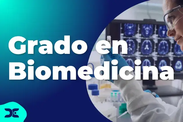 Dónde estudiar biomedicina en España pública: opciones y requisitos esenciales