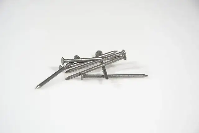 Czy można wbijać gwoździe w drzewo? Poznaj szkodliwe skutki dla zdrowia drzew