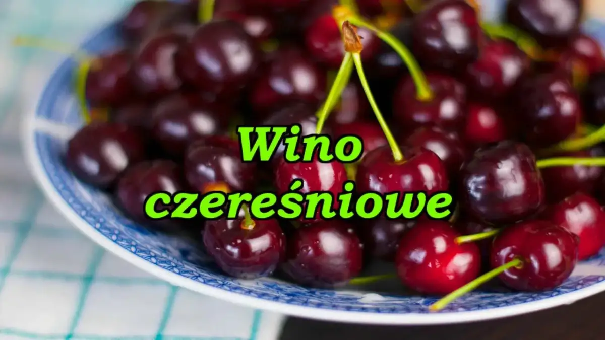 Jak zrobić wino z czereśni: proste błędy, których unikniesz