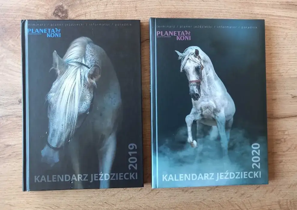 Najlepsze planery jeździeckie, które pomogą zorganizować treningi i życie stajenne