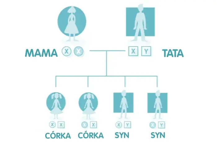Kiedy zna się płeć dziecka? Metody i terminy dla przyszłych rodziców