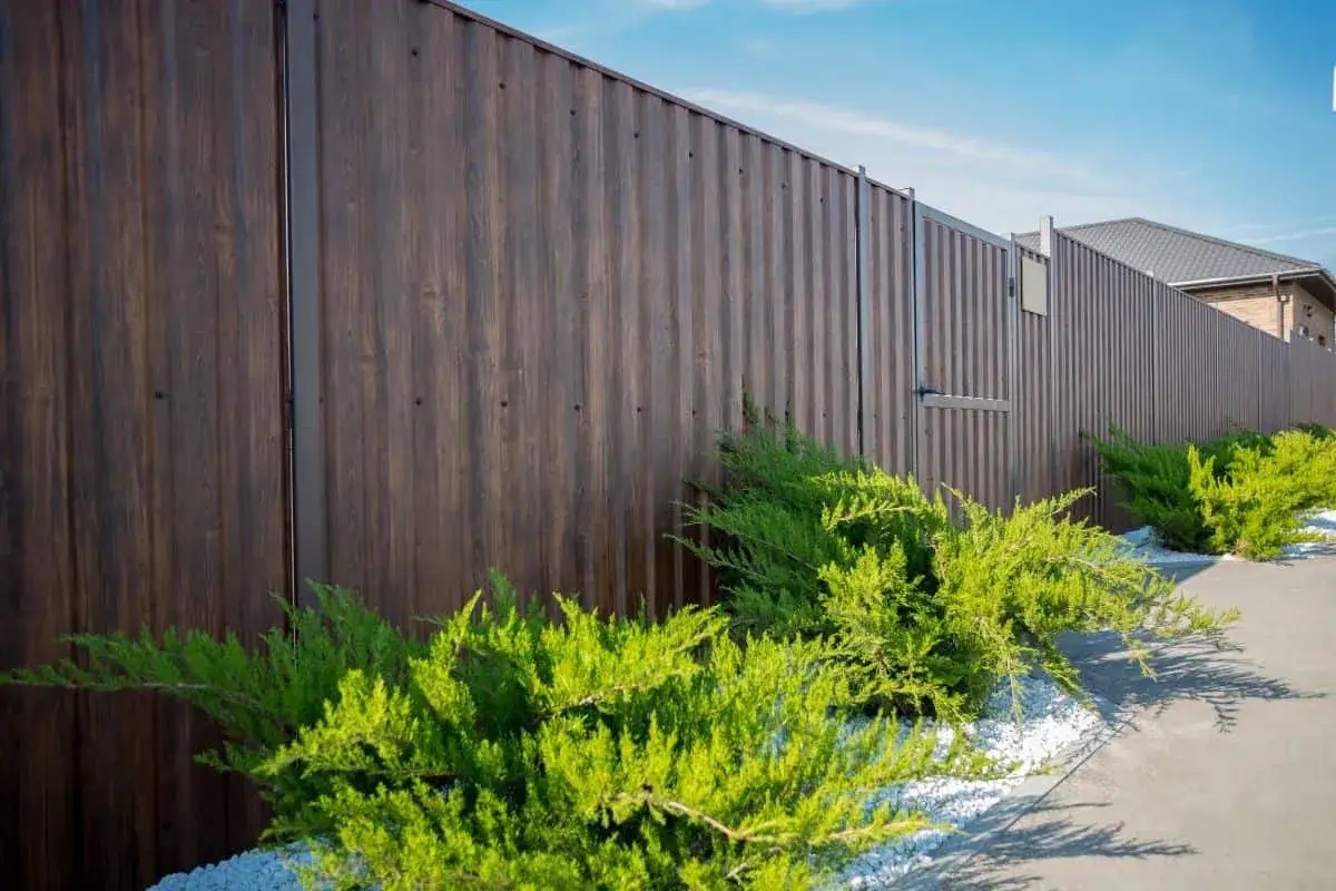 Jak obsadzić działkę przy płocie, by zyskać prywatność i urok?