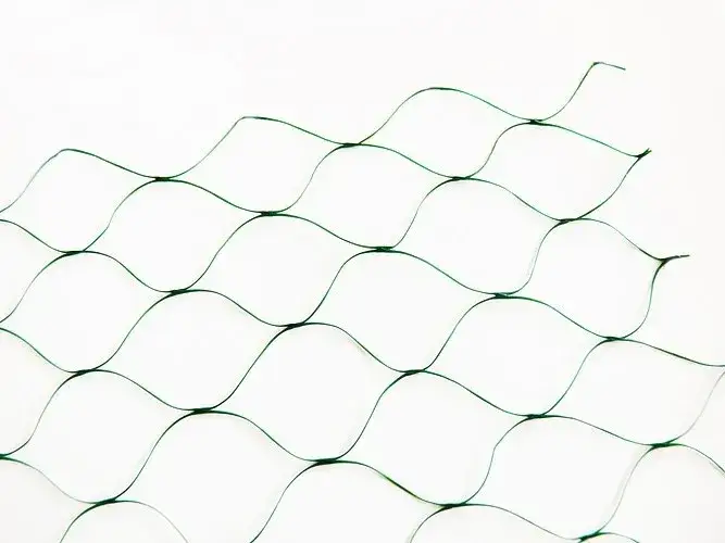 Jak się nazywa siatka na ptaki i jak skutecznie ją wykorzystać