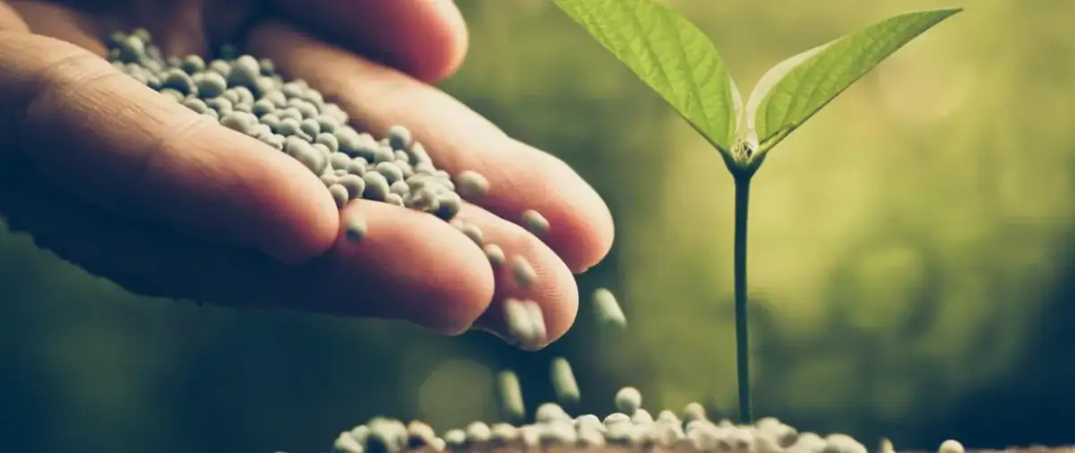 Jak uzyskać dopłatę do nawozów i uniknąć najczęstszych błędów